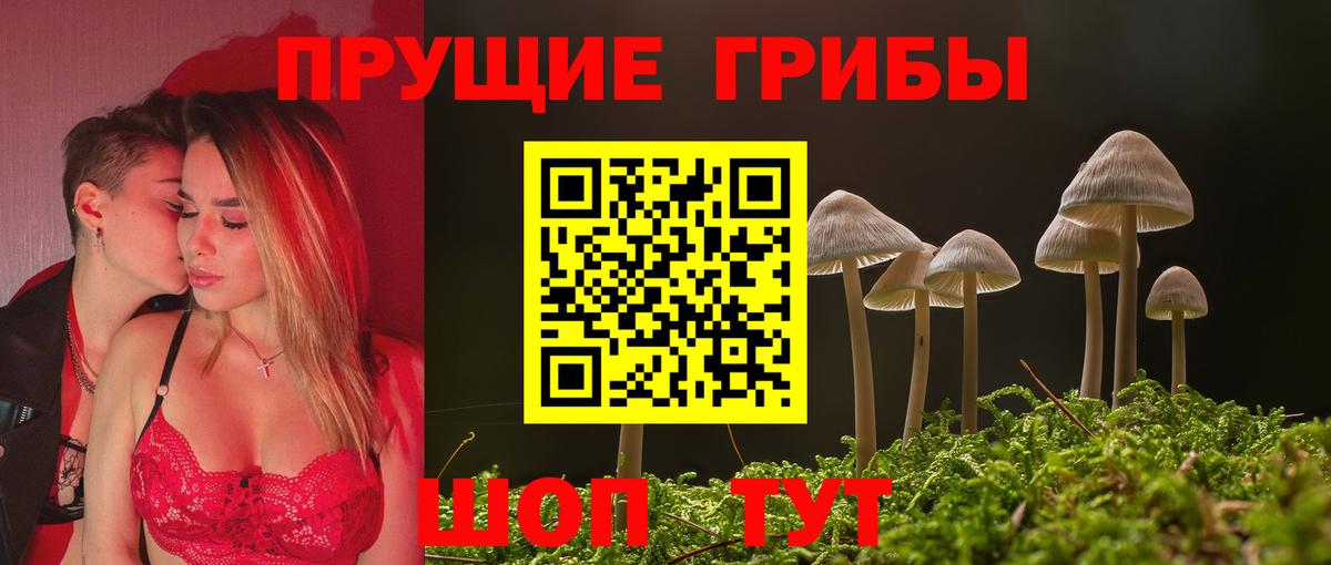 Галлюциногенные грибы Psilocybe  Вход с VPN  Галлюциногенные грибы ЛСД  Мичуринск 